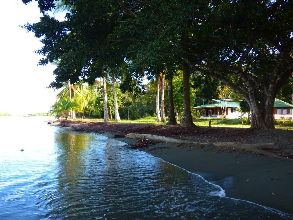 Corcovado Beach Lodge ปัวร์โตคิมาเนซ ภายนอก รูปภาพ