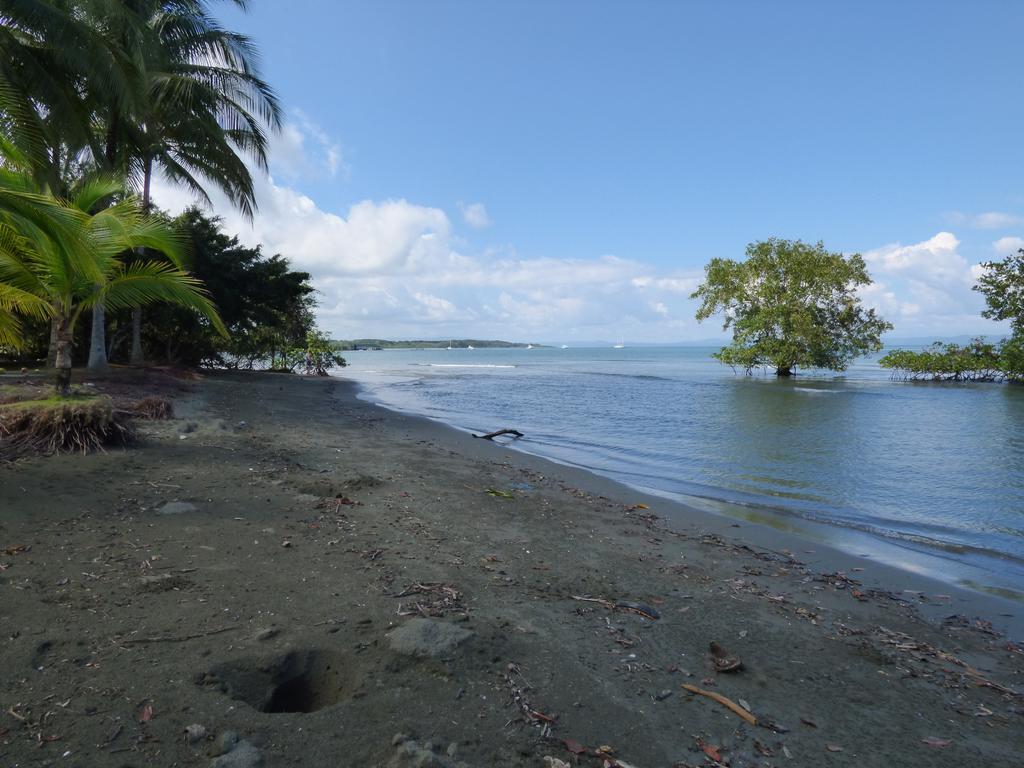 Corcovado Beach Lodge ปัวร์โตคิมาเนซ ภายนอก รูปภาพ