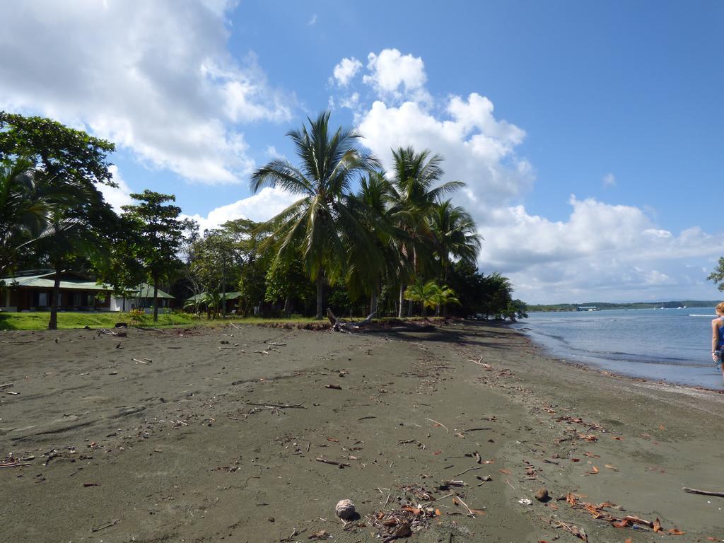 Corcovado Beach Lodge ปัวร์โตคิมาเนซ ภายนอก รูปภาพ