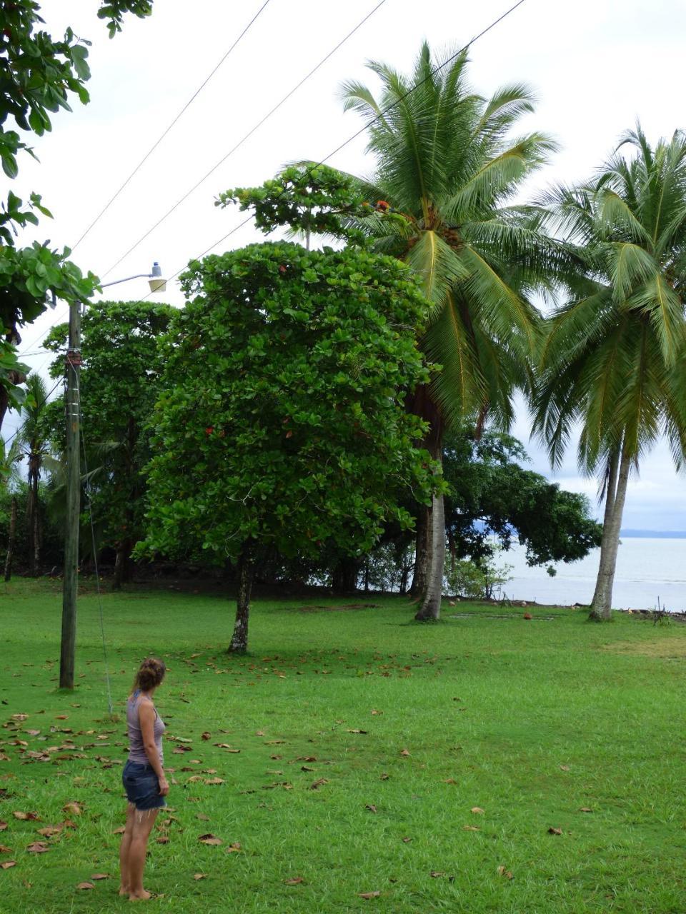 Corcovado Beach Lodge ปัวร์โตคิมาเนซ ภายนอก รูปภาพ