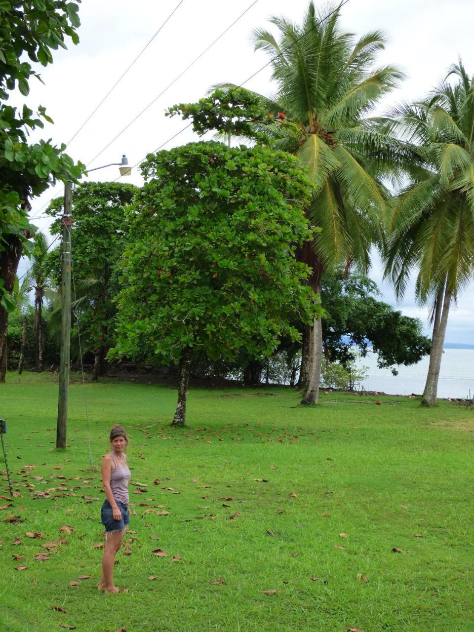 Corcovado Beach Lodge ปัวร์โตคิมาเนซ ภายนอก รูปภาพ